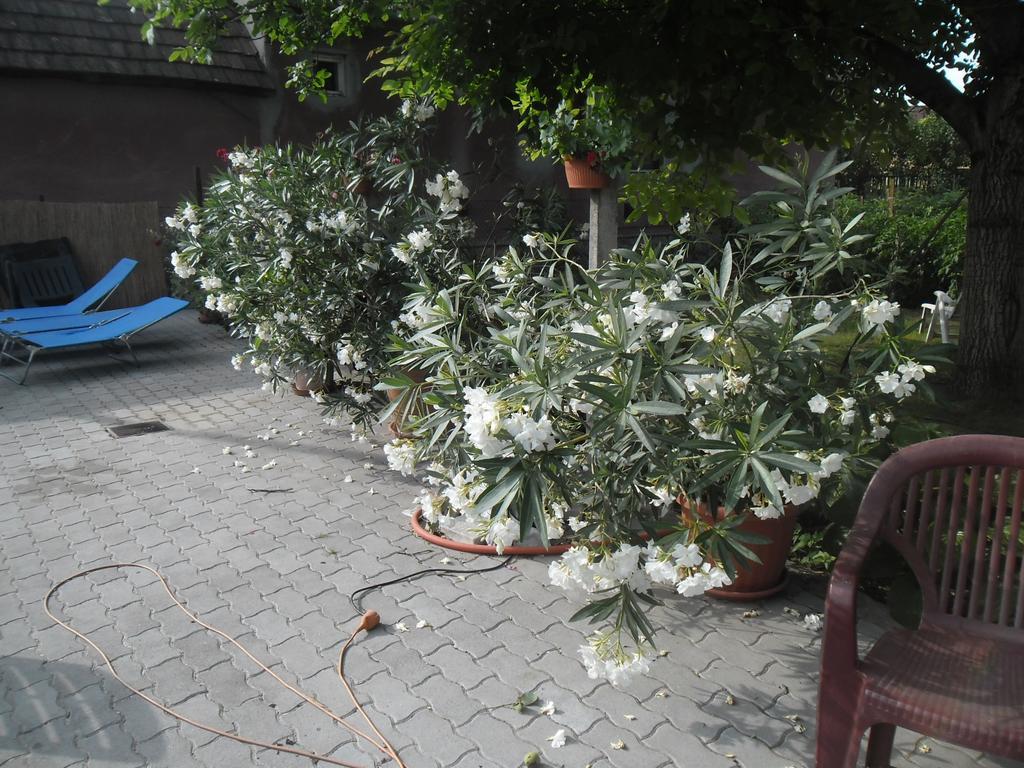 Attila Vendeghaz Tapioszentmarton Hotel Exterior photo